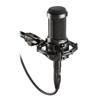 SIDE-ADDRESS CARDIOID CONDENSER MICROPHONE / INCLUDES A CUSTOM SHOCK MOUNT AND PROTECTIVE POUCH